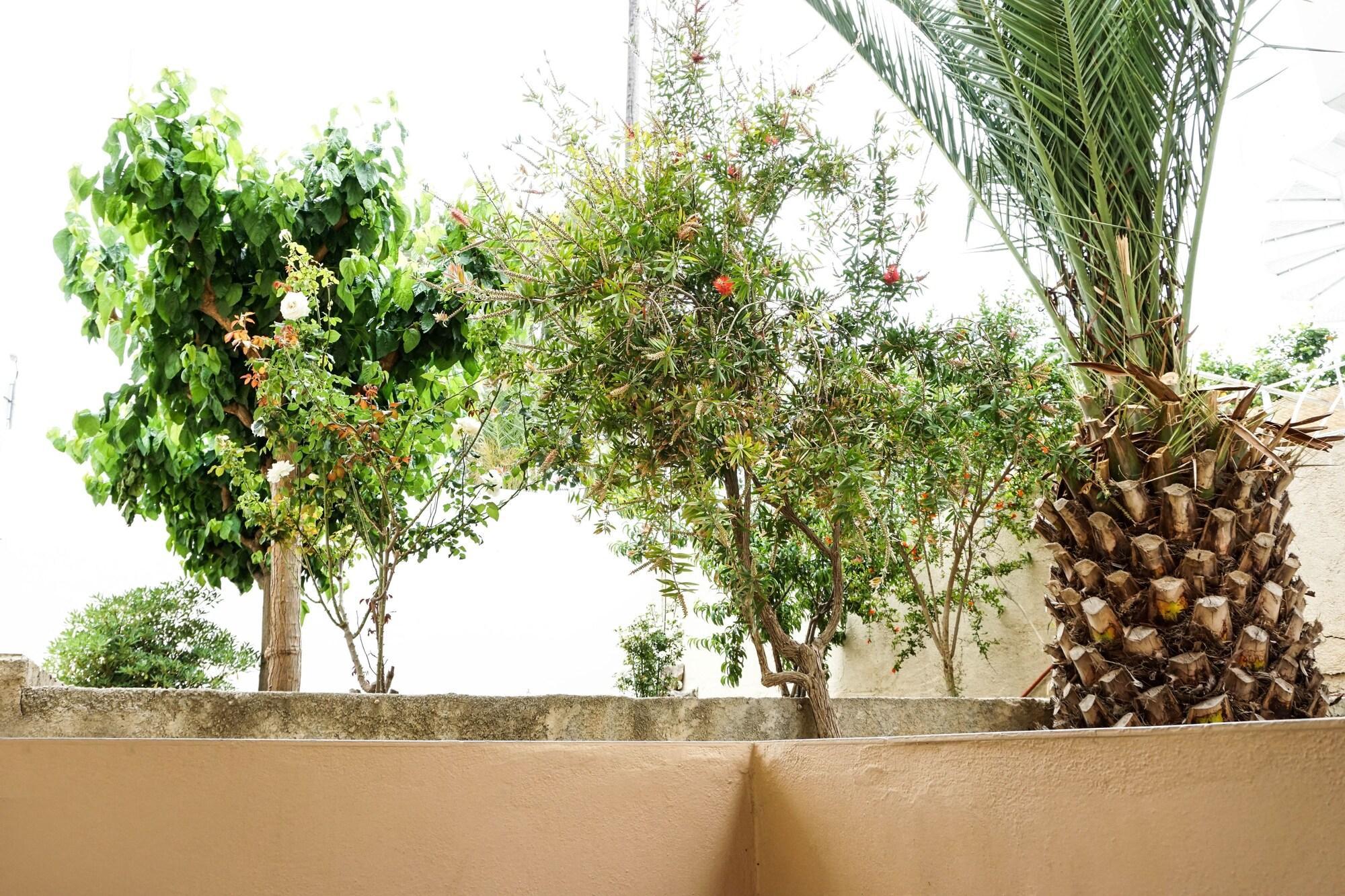 Dioni Hotel Adelianos Kampos Zewnętrze zdjęcie